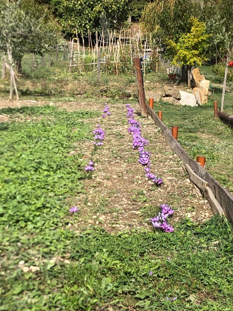 דירות Talla Il Borghetto Di Carra מראה חיצוני תמונה