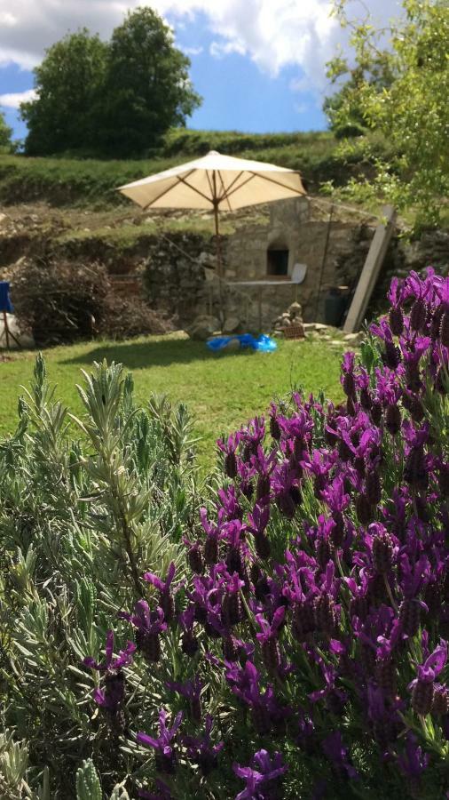דירות Talla Il Borghetto Di Carra מראה חיצוני תמונה